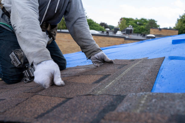 Best Roof Gutter Cleaning  in Pickerington, OH